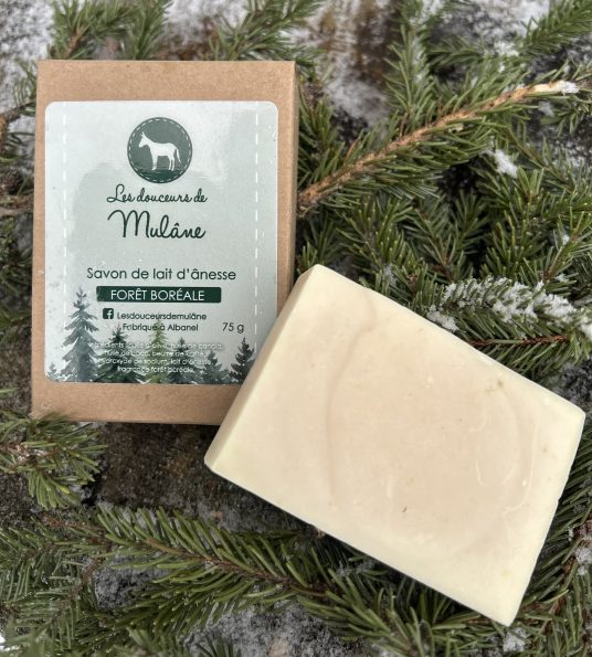 Savon forêt boréale